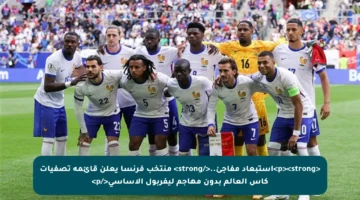 <p><strong>استبعاد مفاجئ..</strong> منتخب فرنسا يعلن قائمة تصفيات كأس العالم بدون مهاجم ليفربول الأساسي</p>